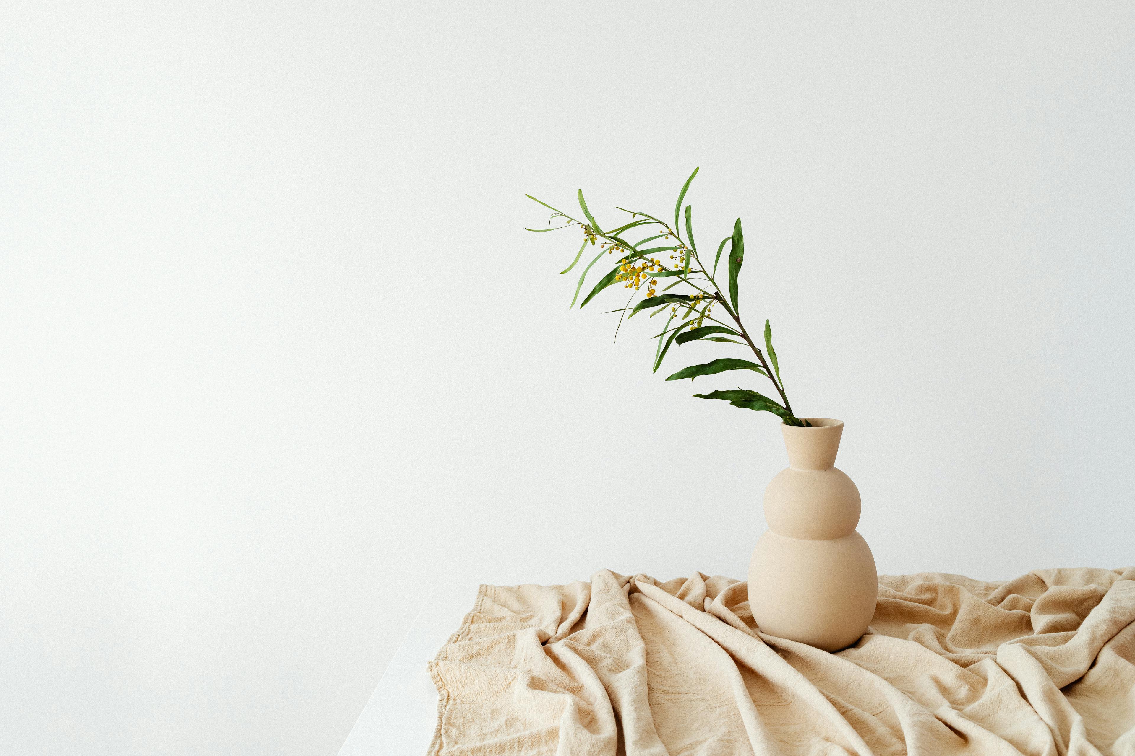 A sprig of golden wattle in a pale ceramic vase on soft linen