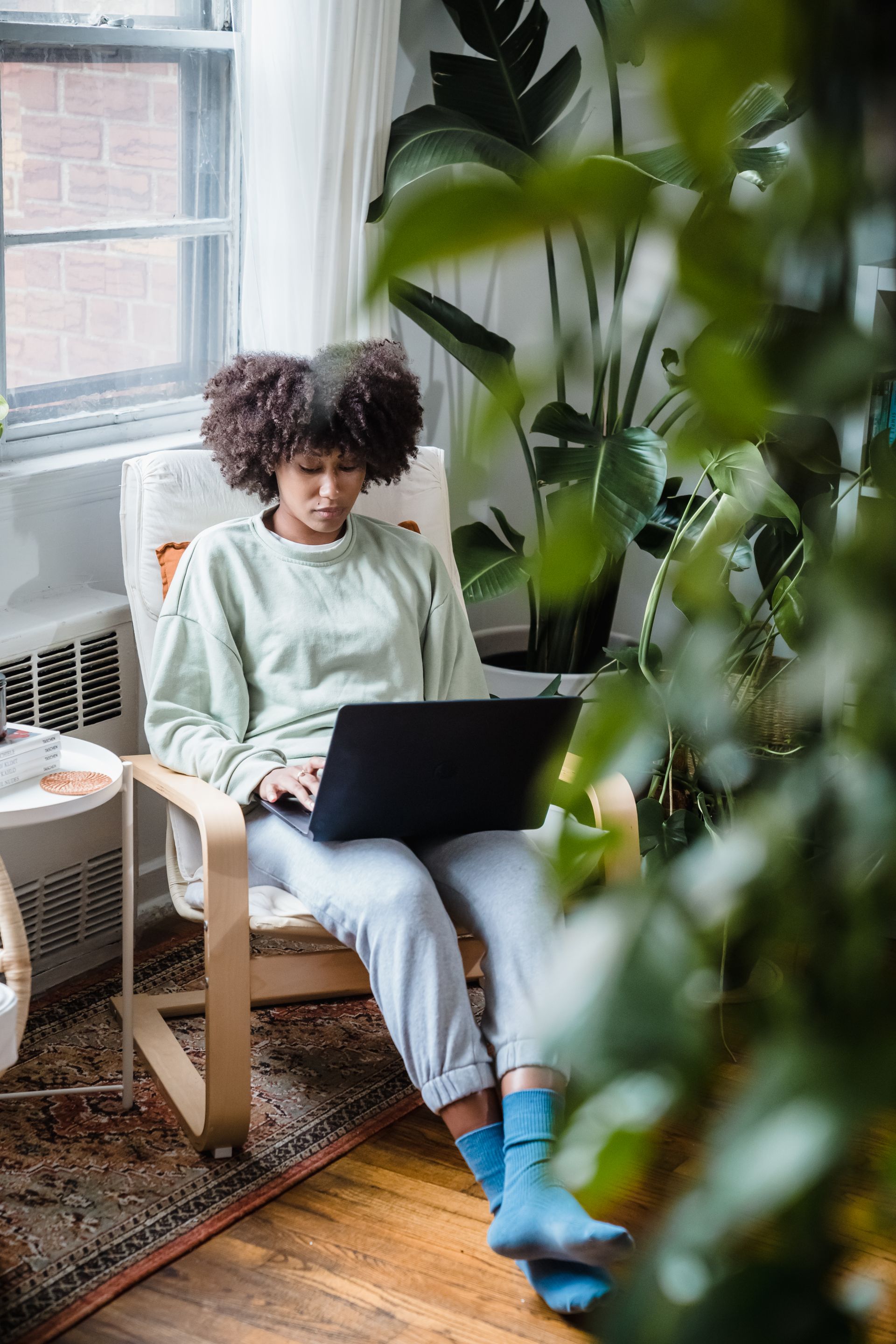 A person sitting calmly with a laptop in a plant-filled room in soft daylight